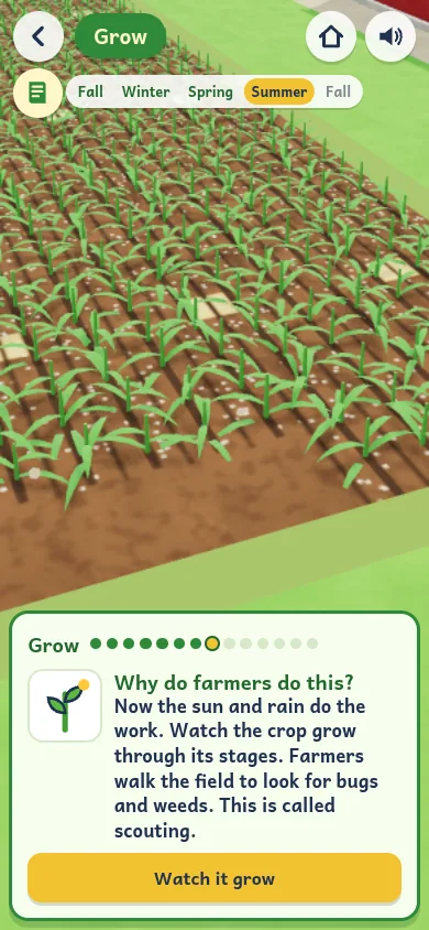 Farm Ground in summer: rows of young crops growing in the field